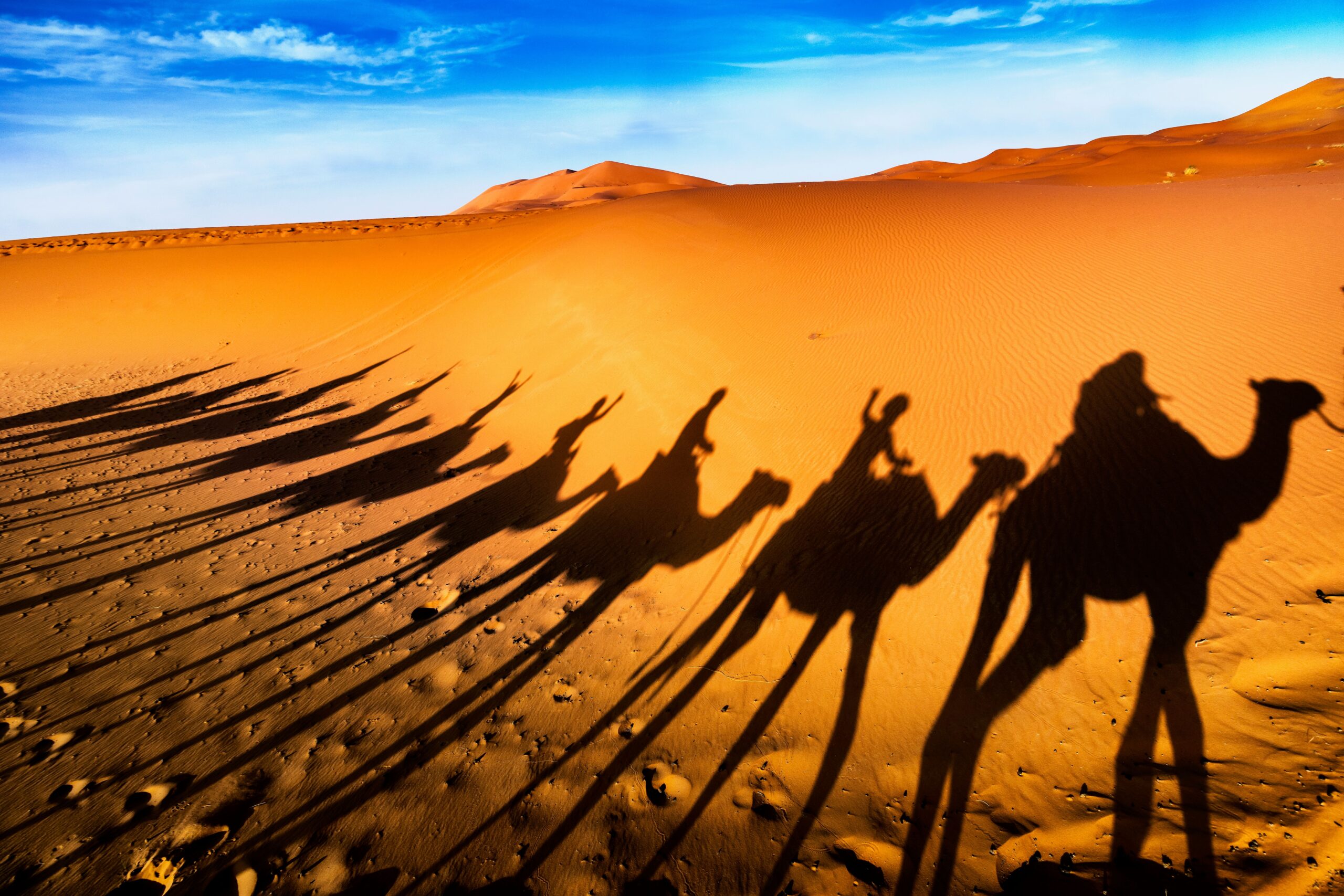 4 Days Fes to Marrakech Desert Tour 4 Days Fes to Marrakech Desert Tour in Merzouga Desert