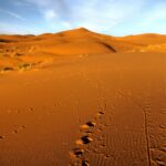 Customer Review Desert Tour Travel blogger sharing review about 3-day Fes to Marrakech desert tour