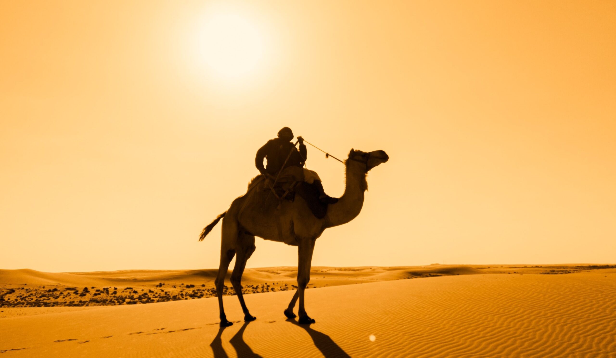 3 Days Fes to Marrakech Desert Tour Camel trekking in Merzouga during Morocco desert tour from Fes to Marrakech