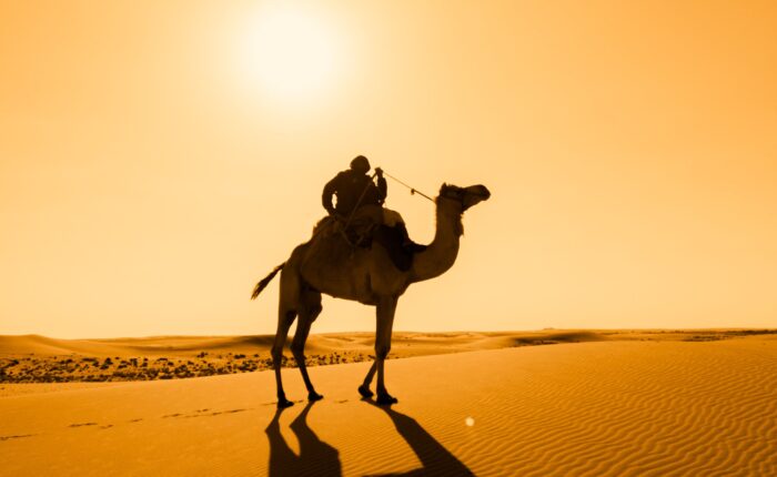 3Days Desert Tour from Fes to Marrakech via Merzouga Sahara Desert