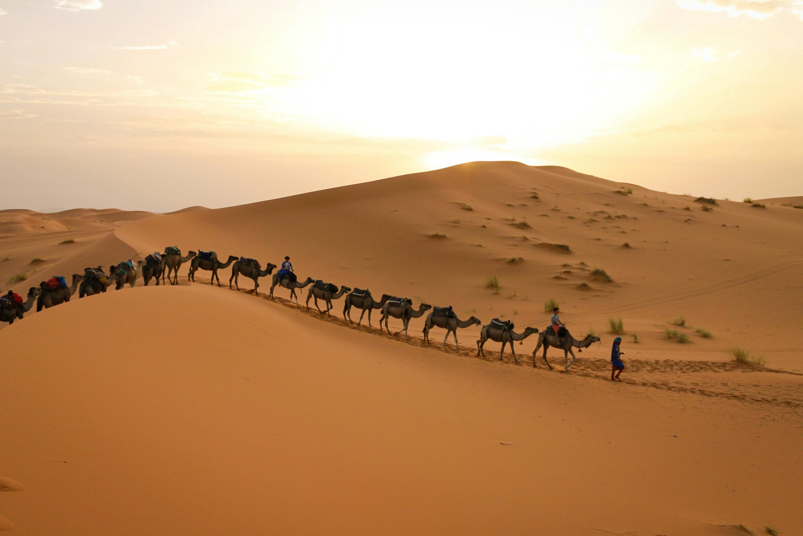 Sahara Desert Tours in Morocco