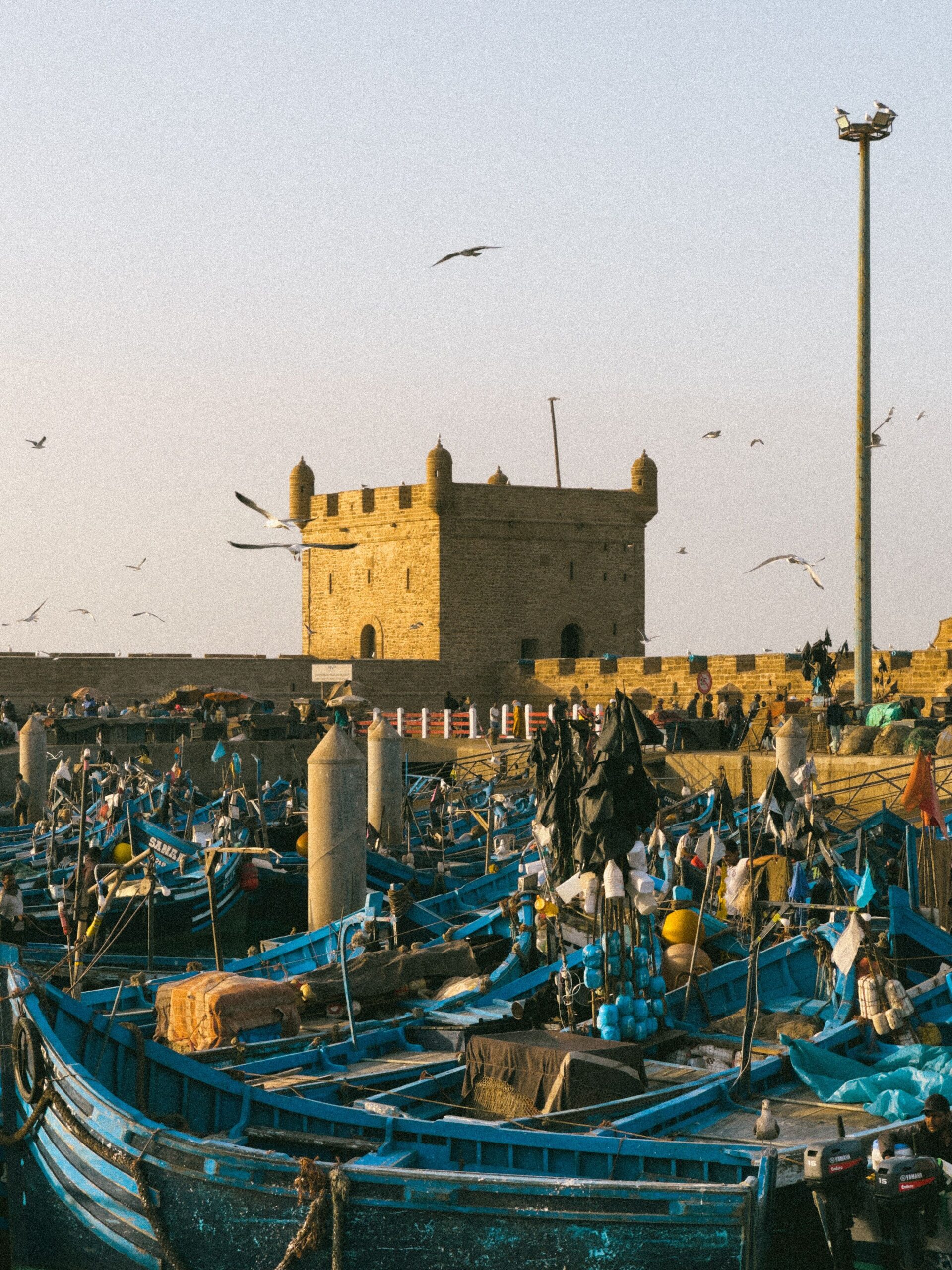 Explore Morocco’s historic imperial cities with cultural landmarks and traditional architecture