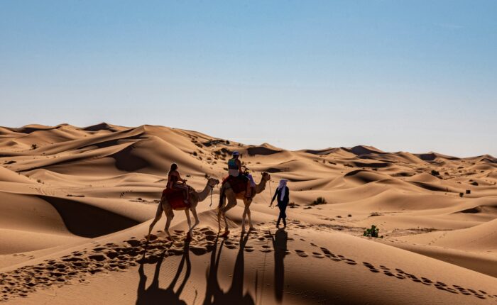 Travelers riding camels across the golden Erg Chebbi dunes during a 3 Days Marrakech to Merzouga Desert Tour in the Sahara Desert, Morocco.