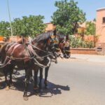 Five-star customer review for a Morocco desert tour experience